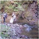 Electrofishing
