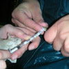 Extracting sperm from a precocious male salmon 'parr'